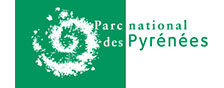 logo pnp